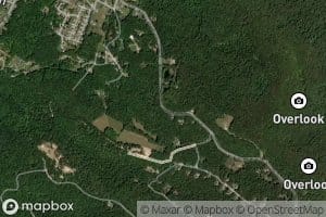 Philip Mascioli Spring