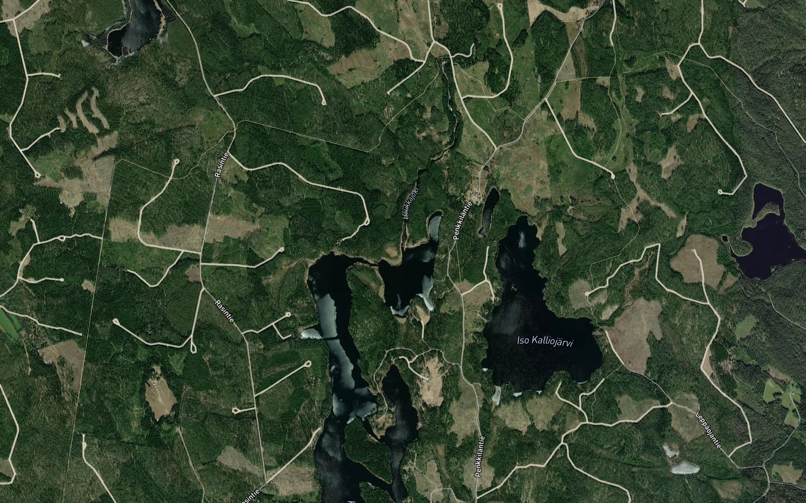 Haukkajoki