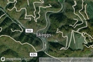 Skeggs Branch