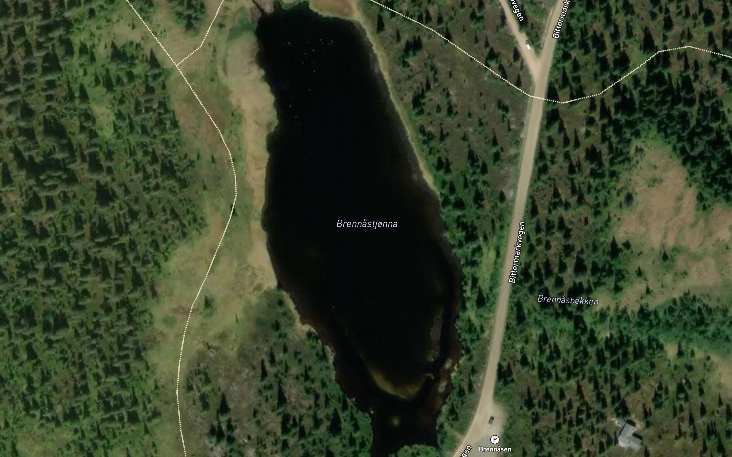 Brennastjorna