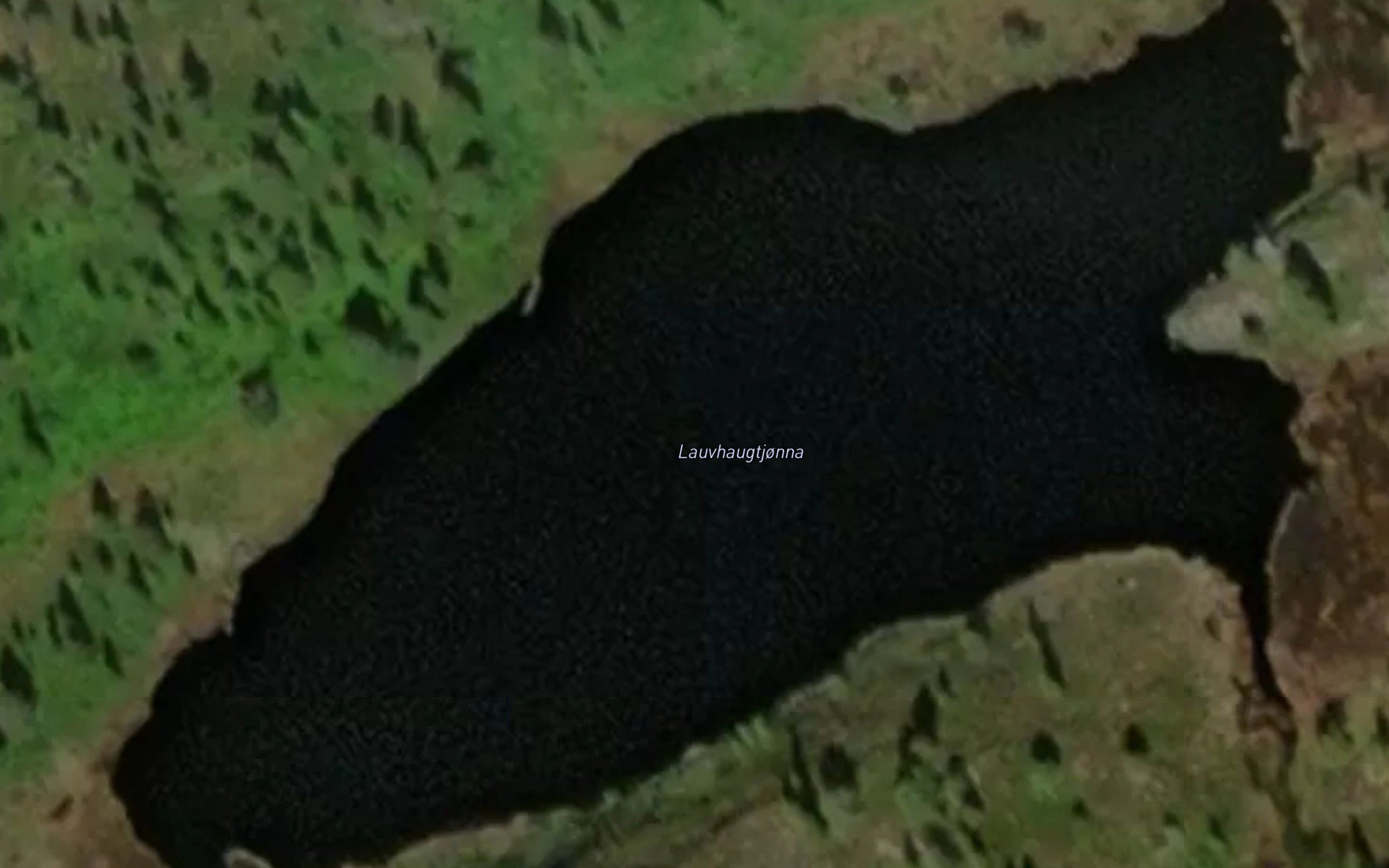 Lauvhaugtjonna