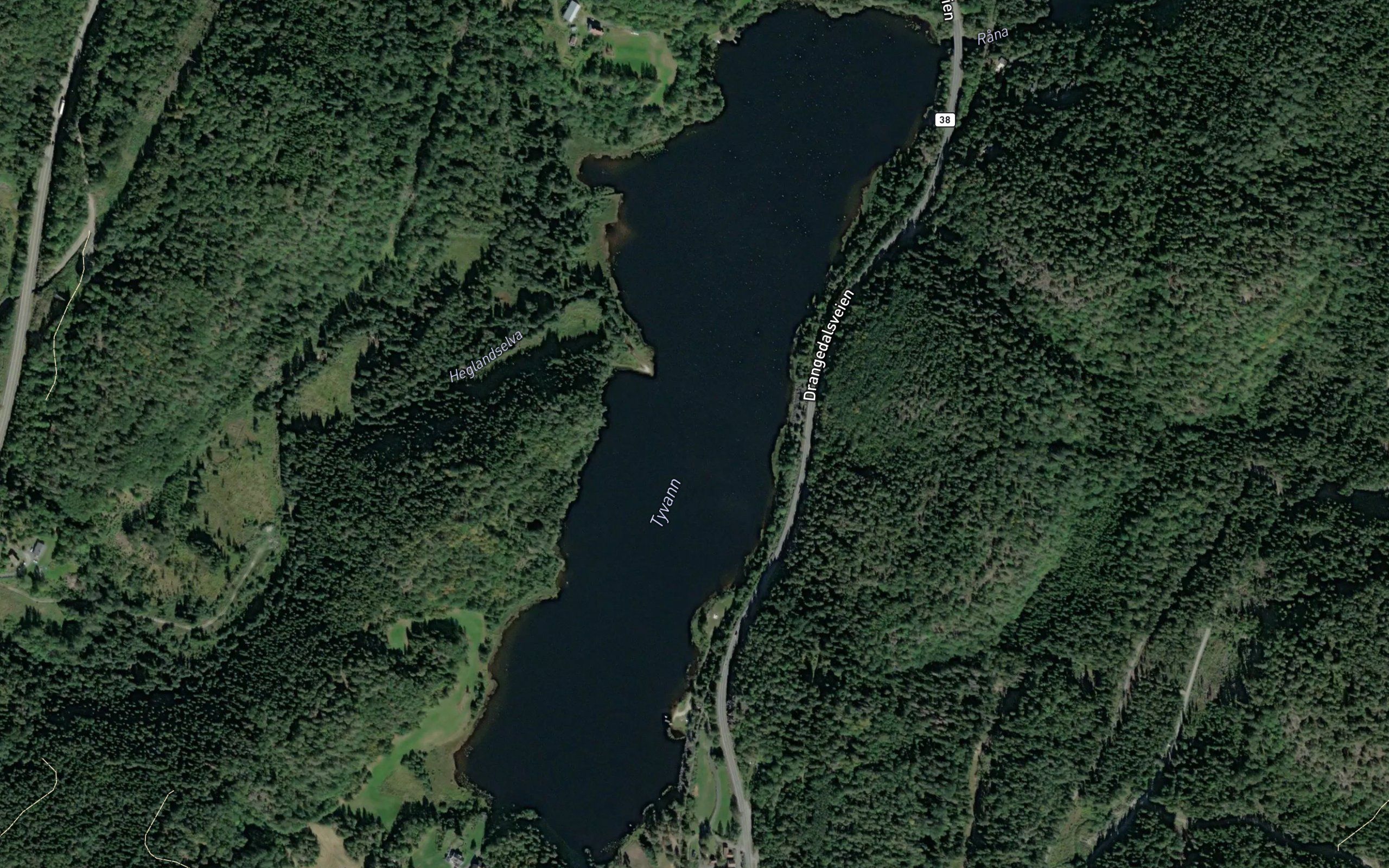 Tyvann