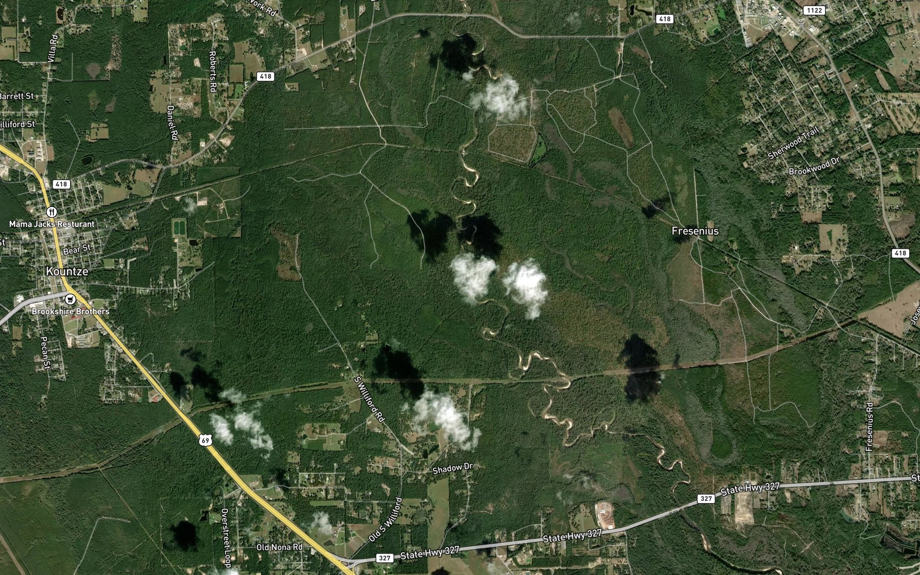 Satellite map of the Cypress Creek