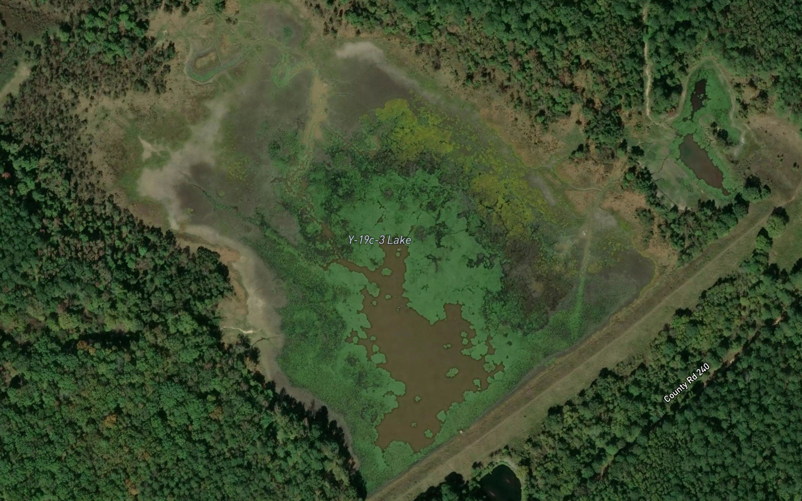 Texas Lake