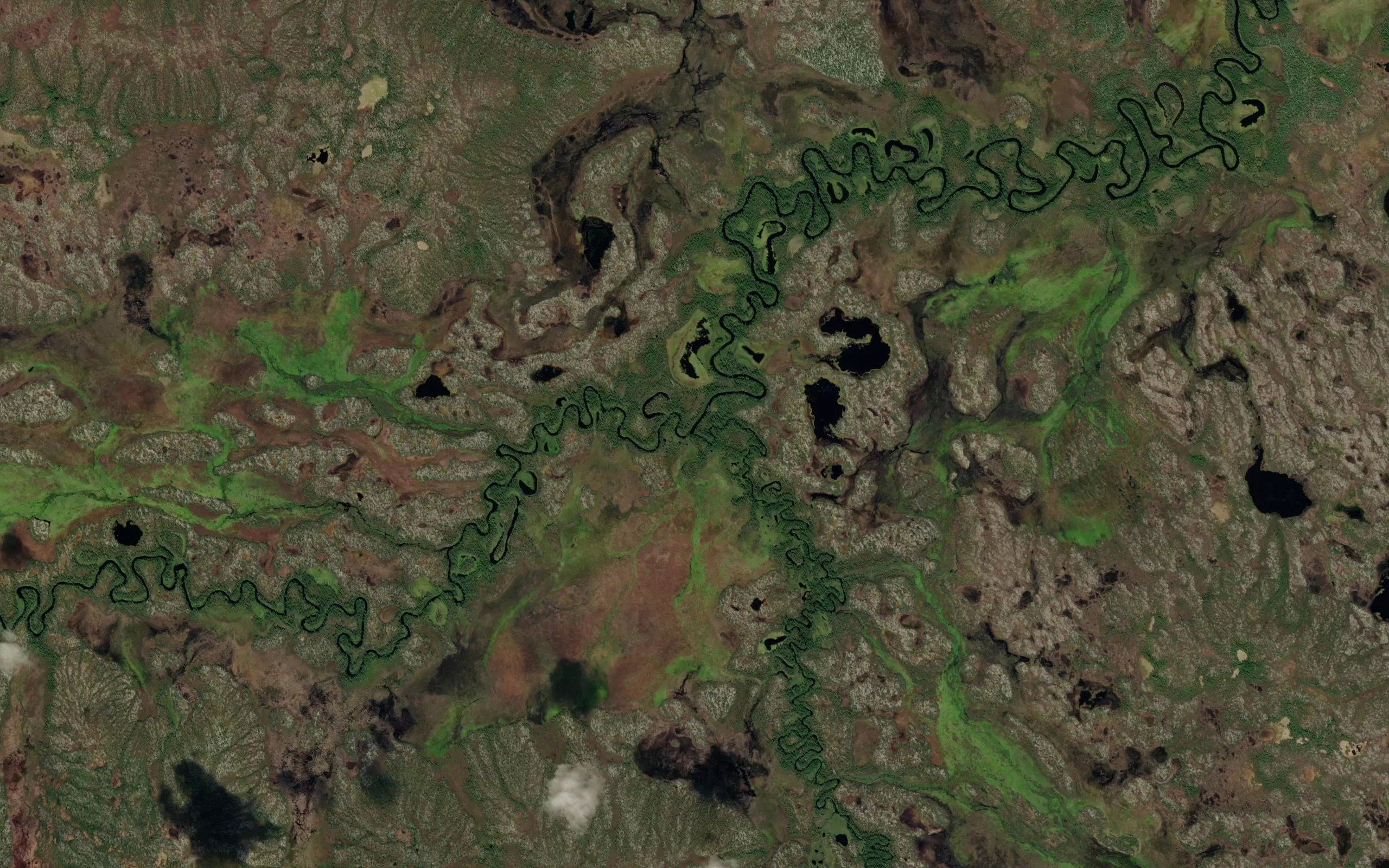 Berezovaya
