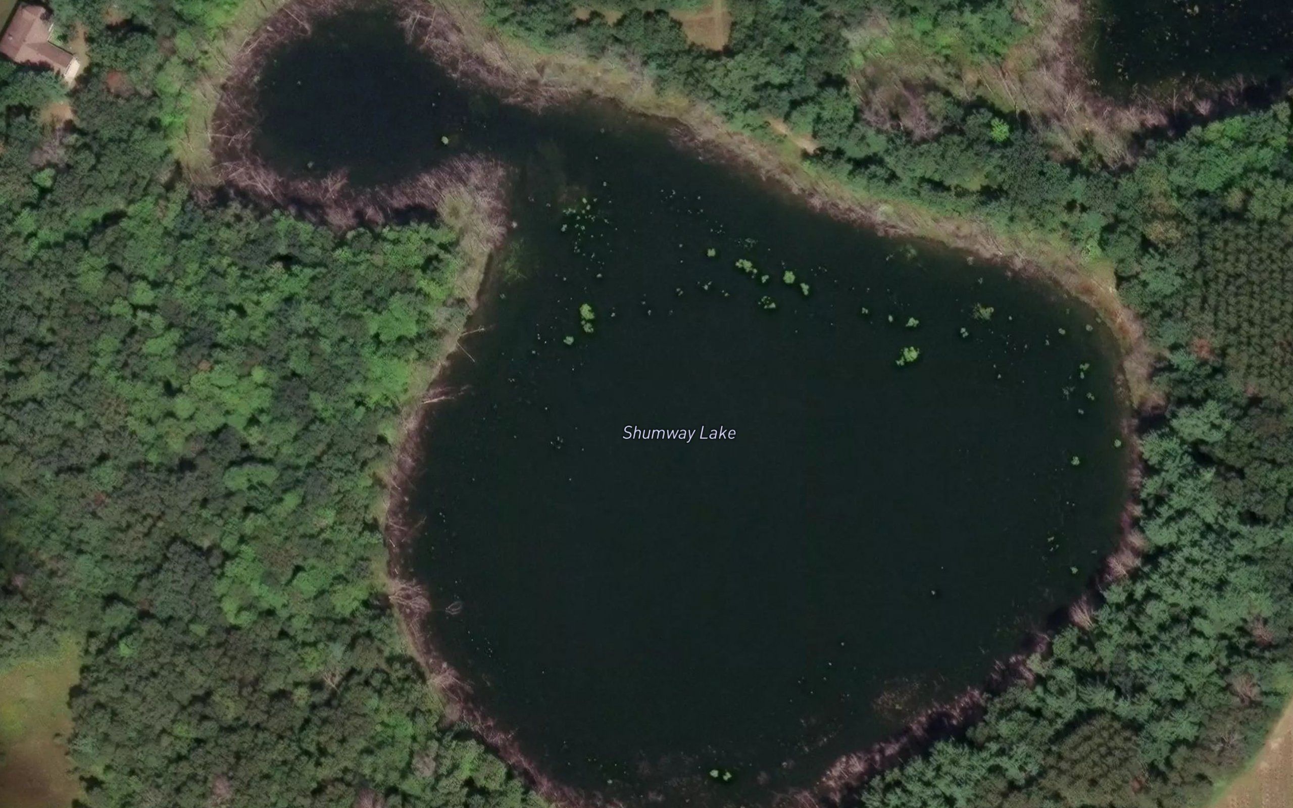 Shumway Lake