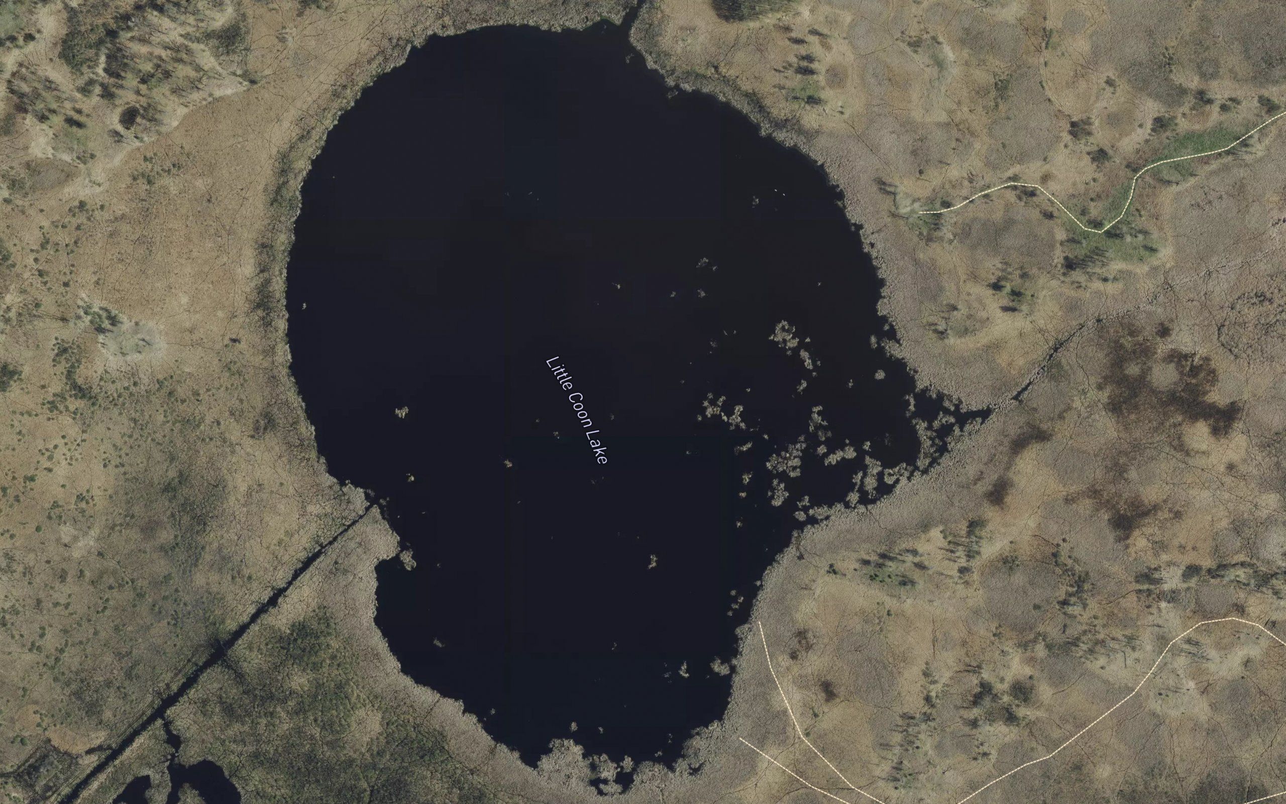 Little Coon Lake