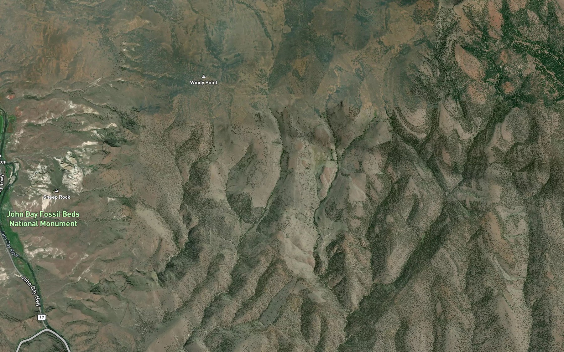 Satellite map of the Willow Spring