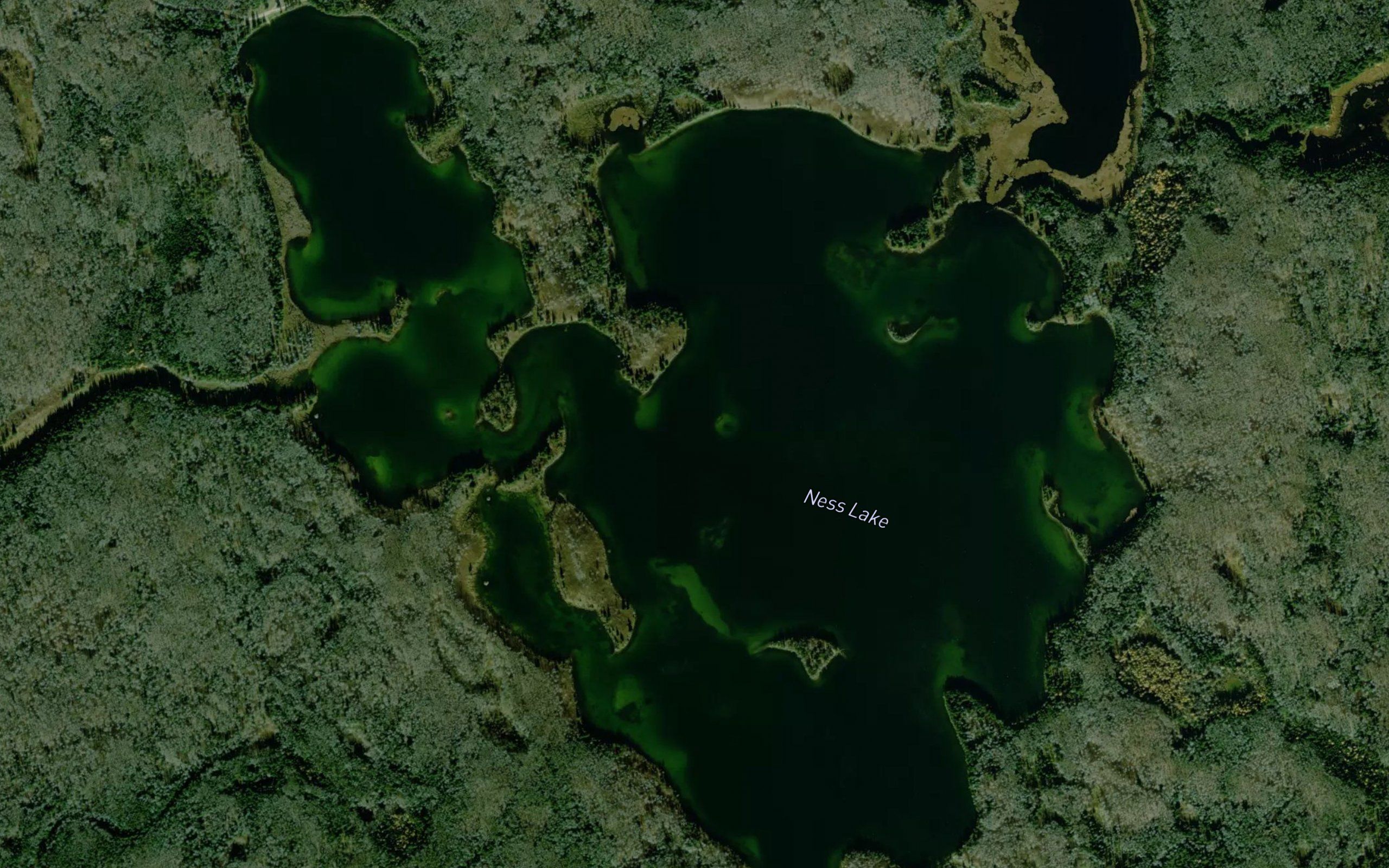 Ness Lakes