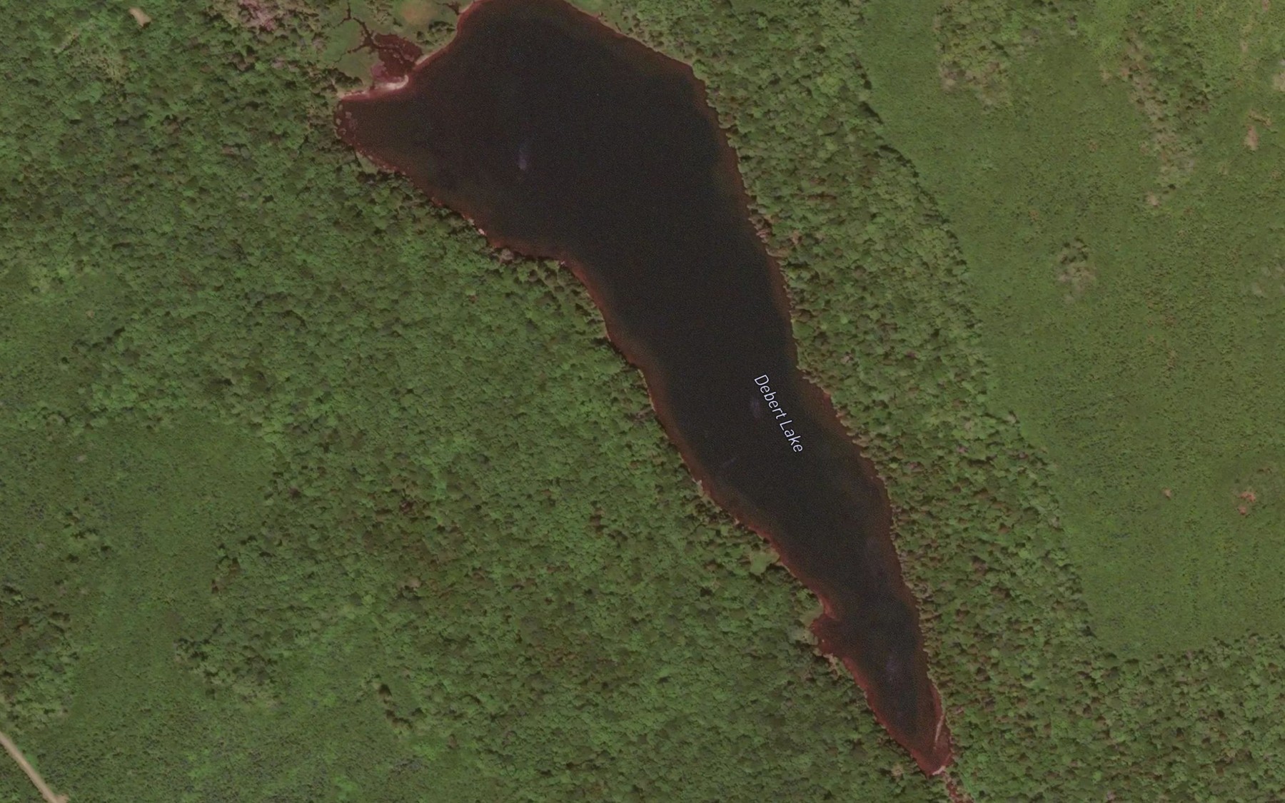 Satellite map of the Debert Lake