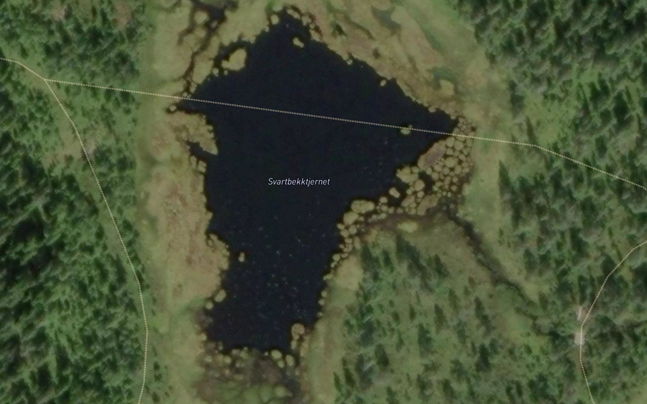 Svarttjern