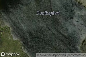 Duolbajavri