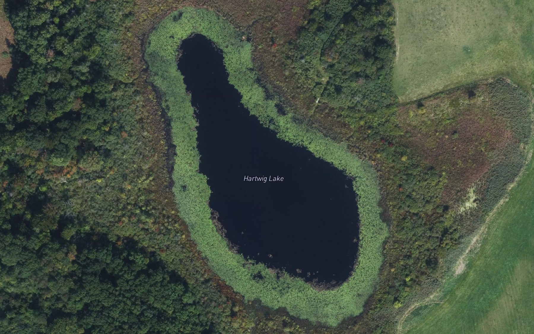 Satellite map of the Hartwig Lake