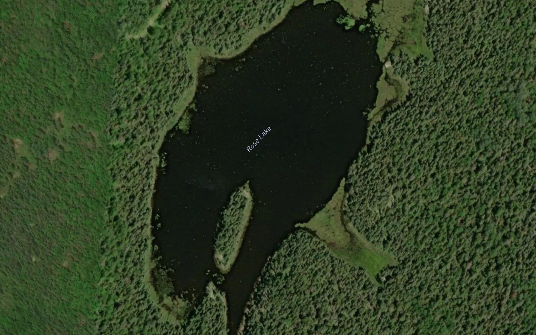 Satellite map of the Rose Lake