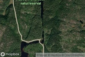 Straumen