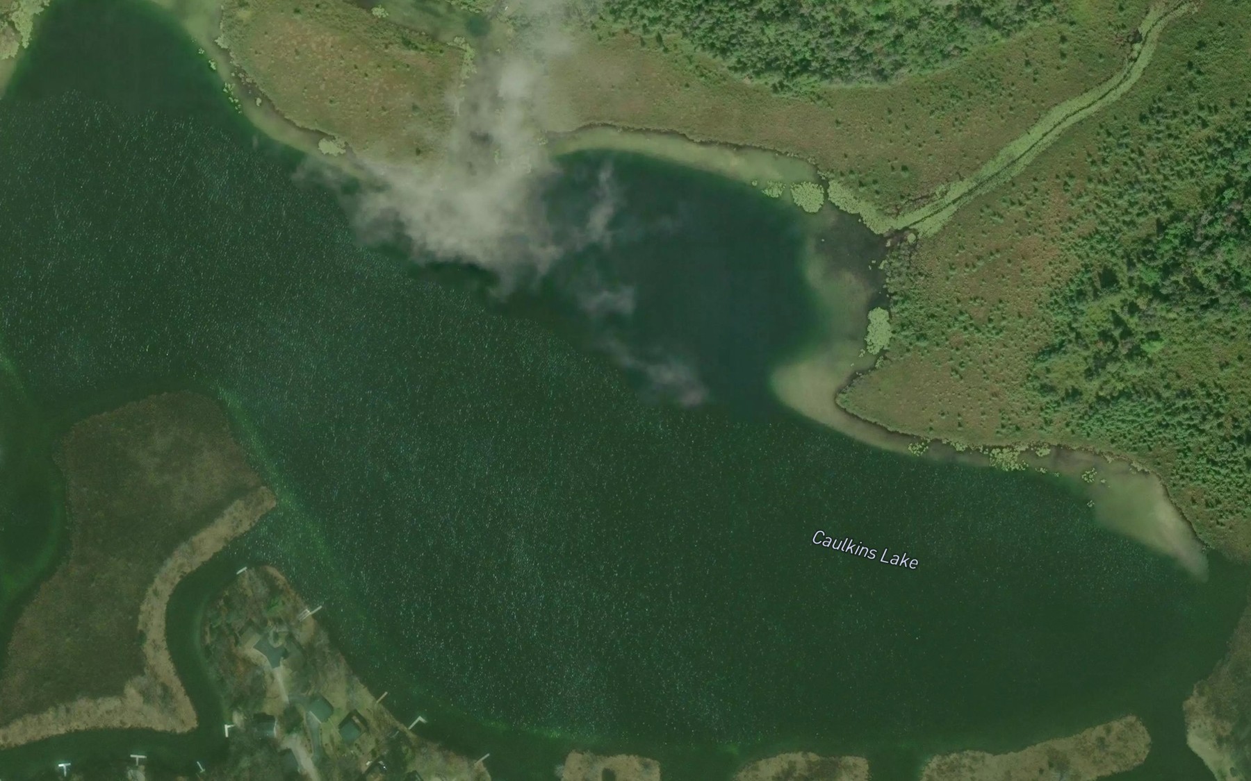 Satellite map of the Caulkins Lake
