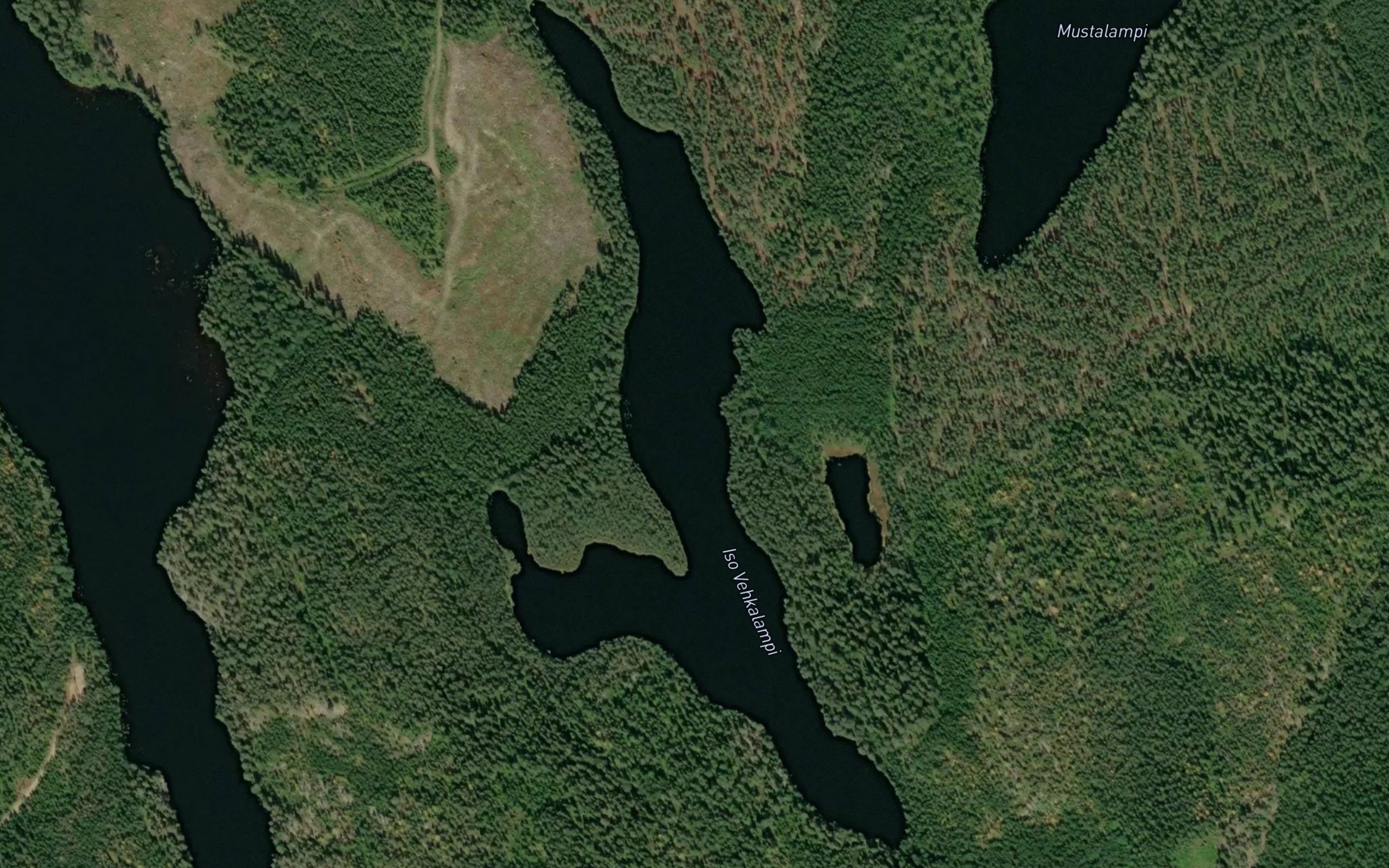Satellite map of the Iso Vehkalampi