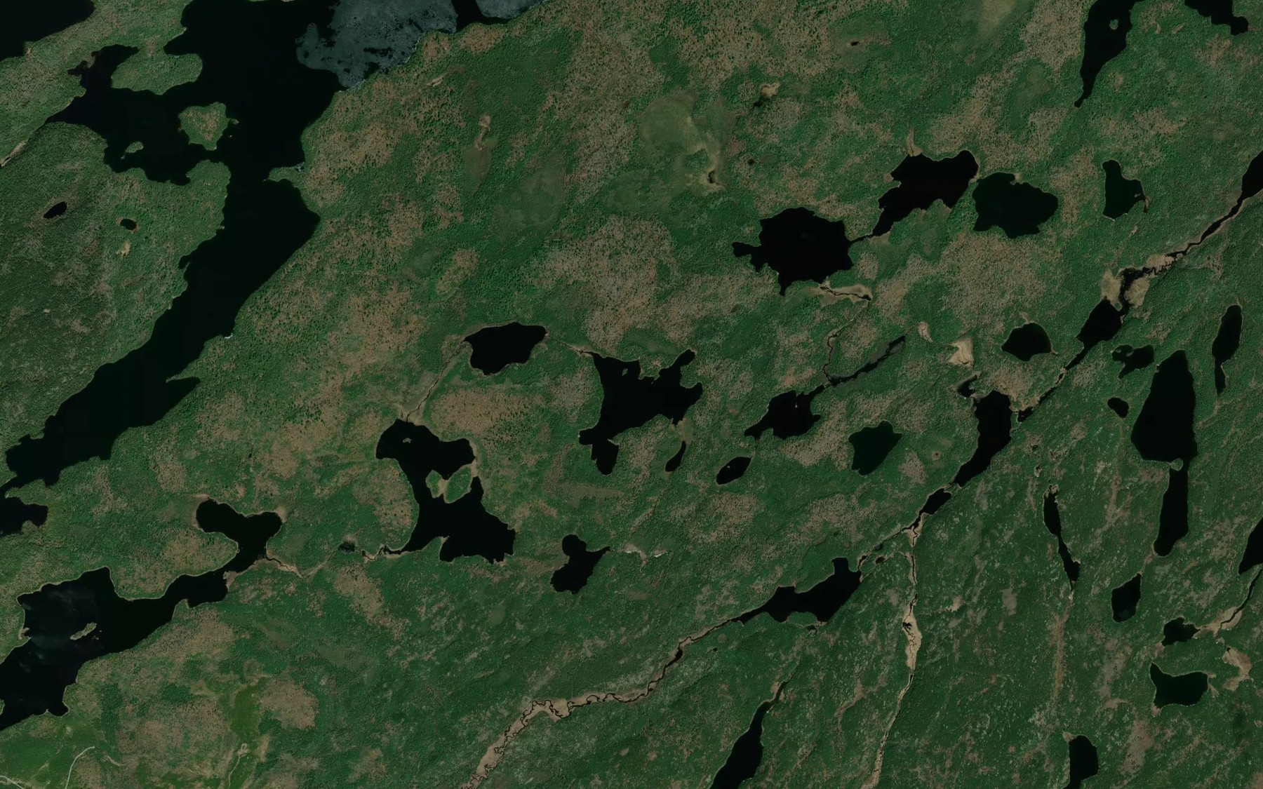 Satellite map of the Scott Lake