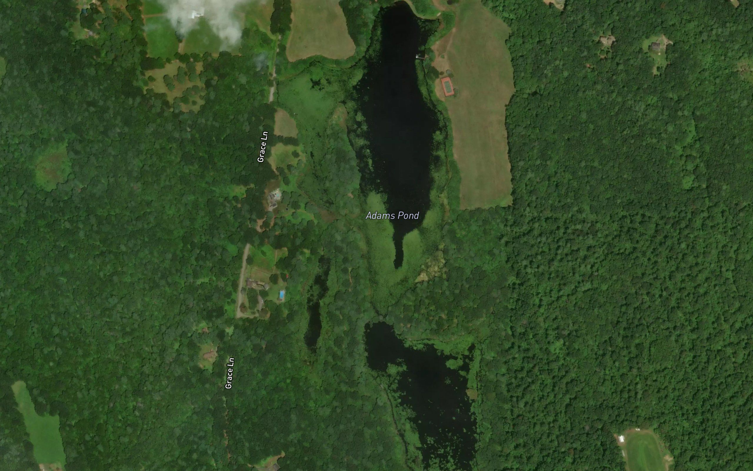 Adams Pond