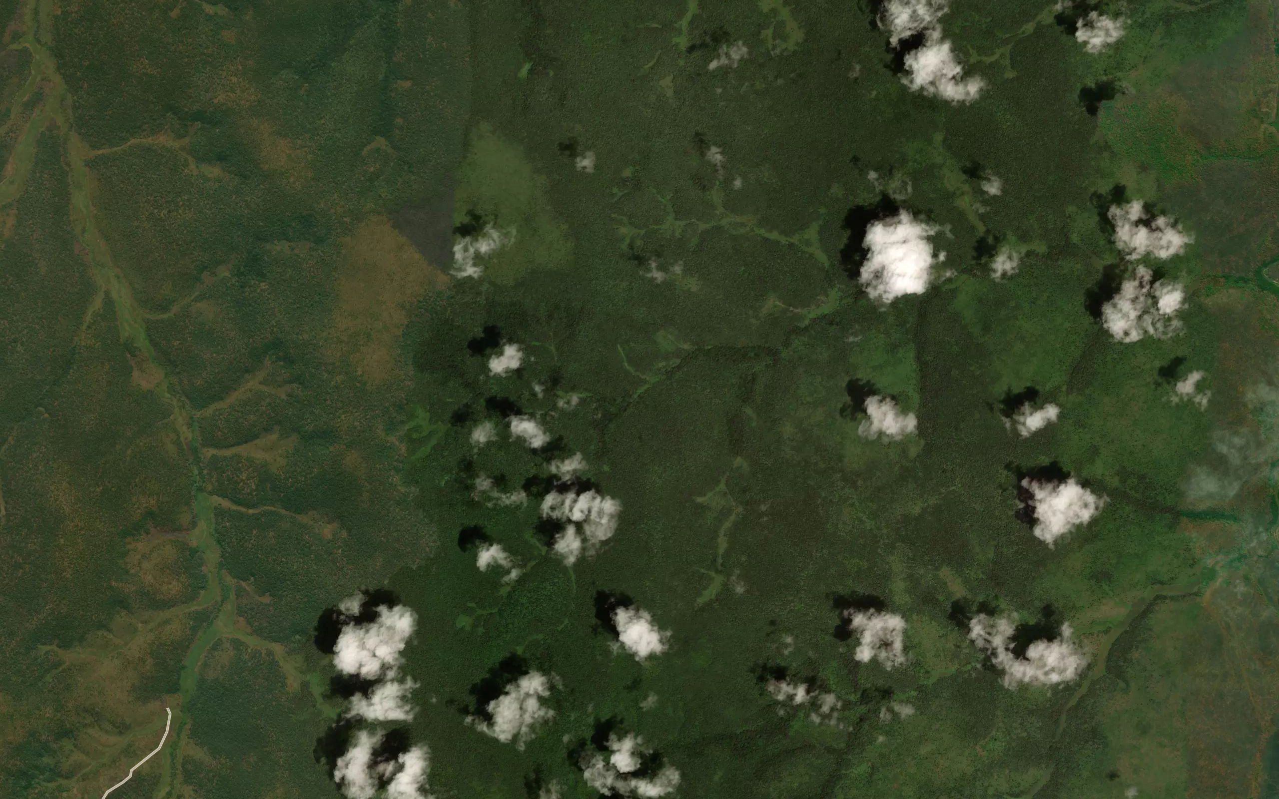 Cacumbi