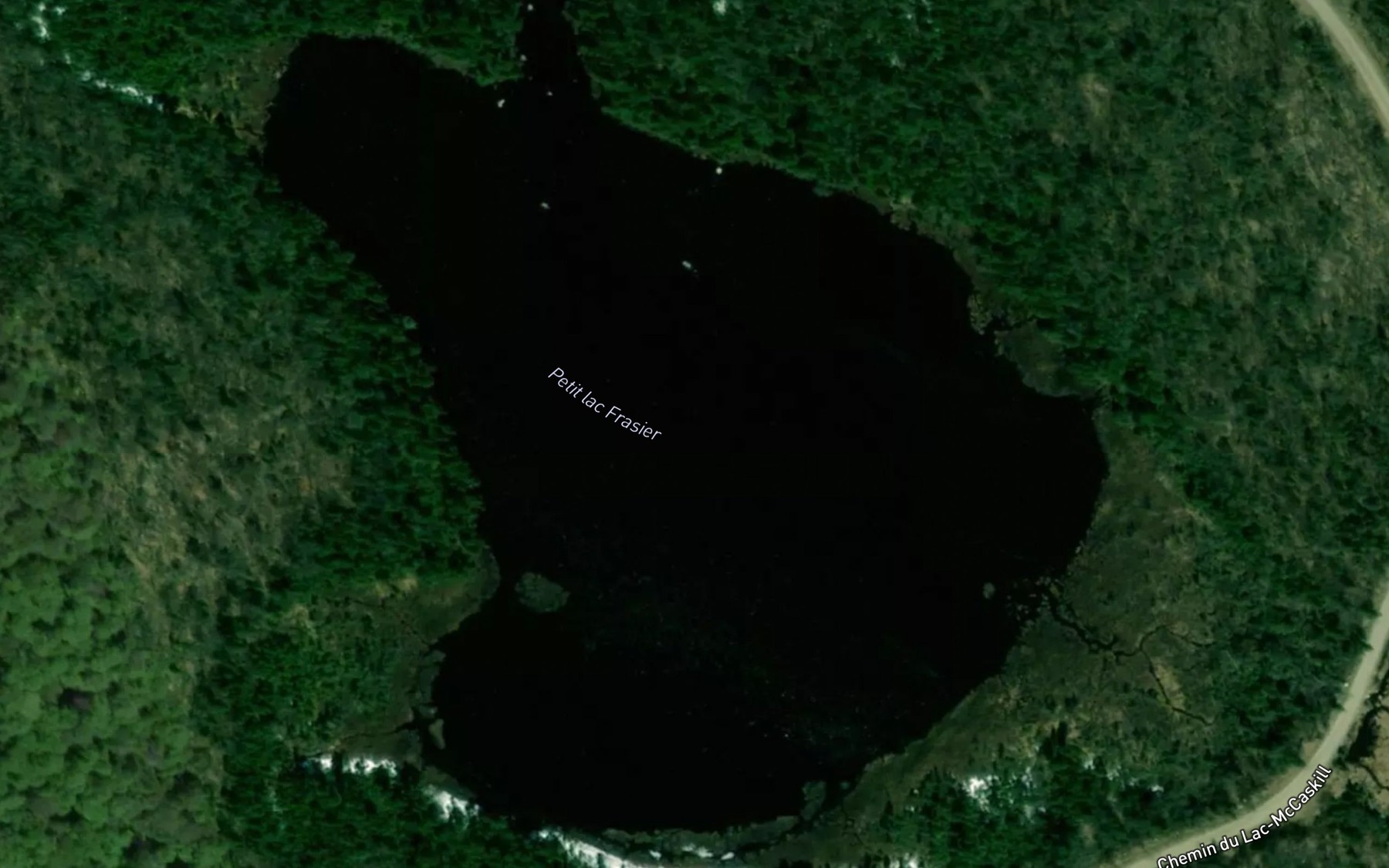 Satellite map of the Petit lac Frasier