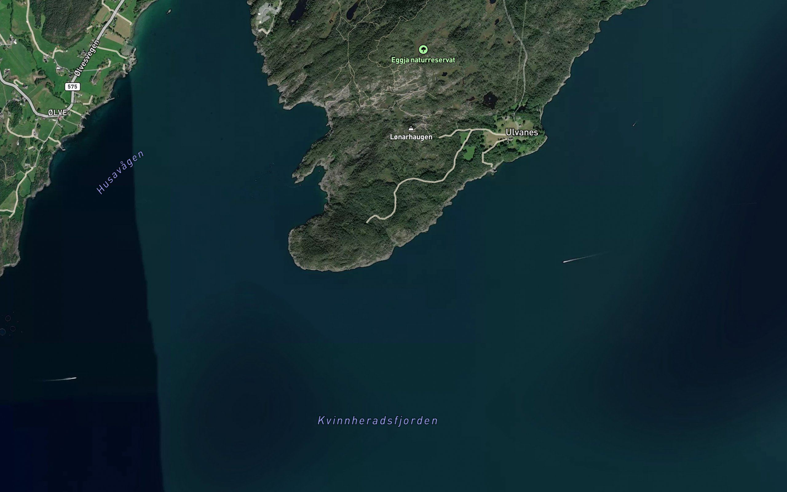 Fingergullvika