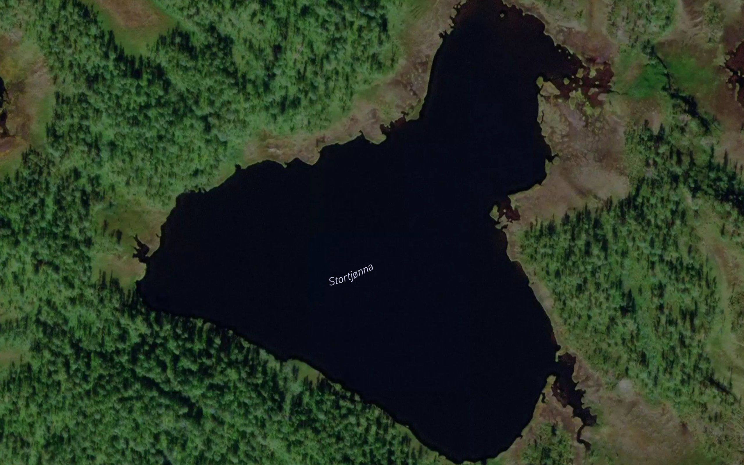 Stortjorna