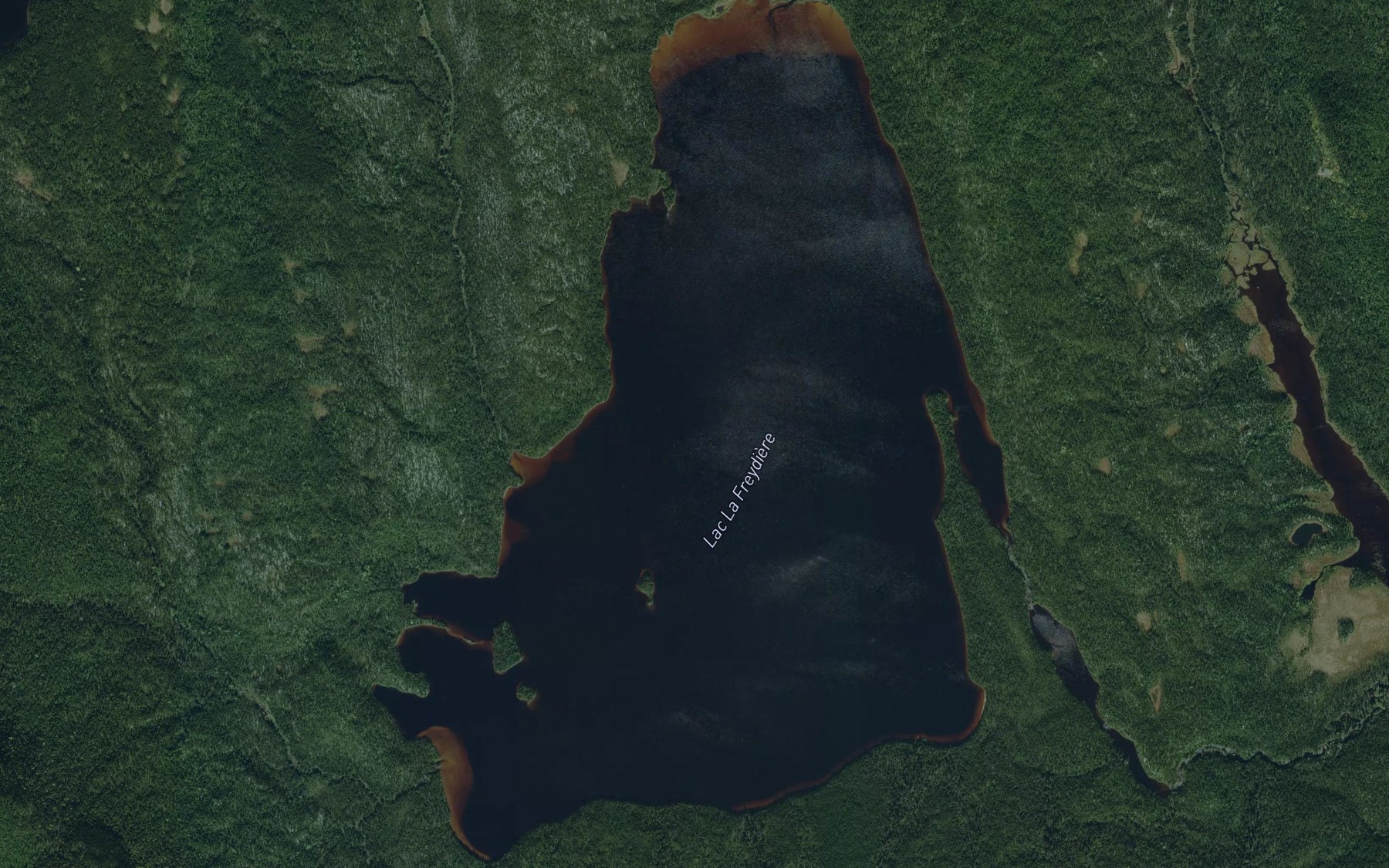 Satellite map of the Lac La Freydiere