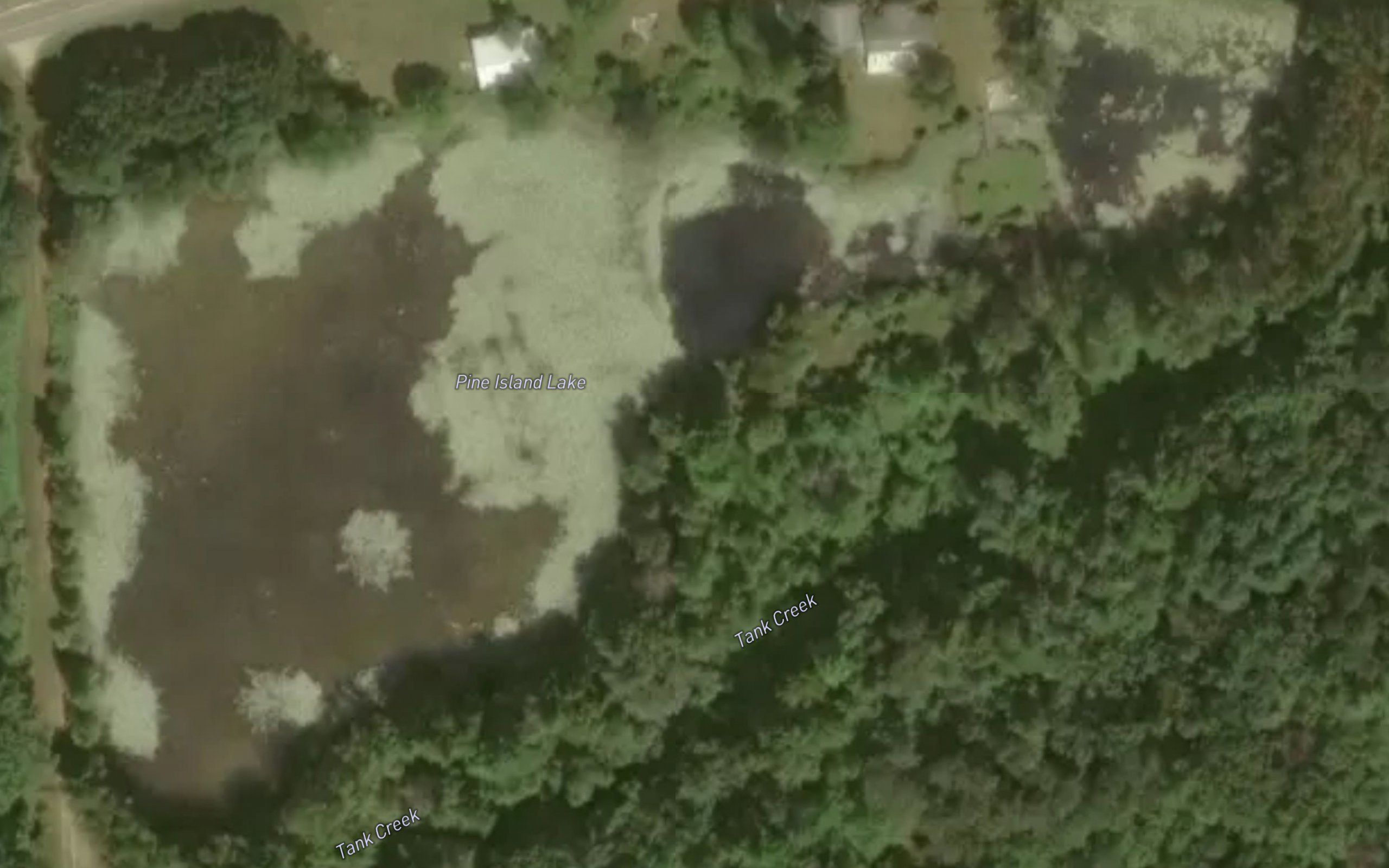 Pine Island Lake