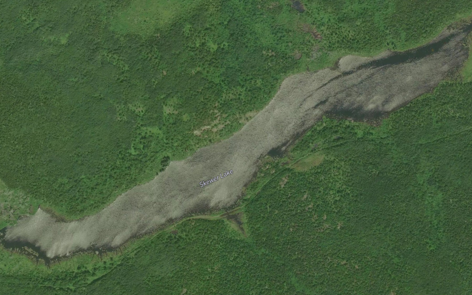 Satellite map of the Skewer Lake