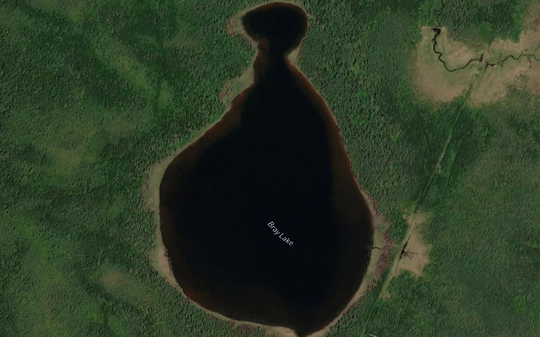 Satellite map of the Bray Lake