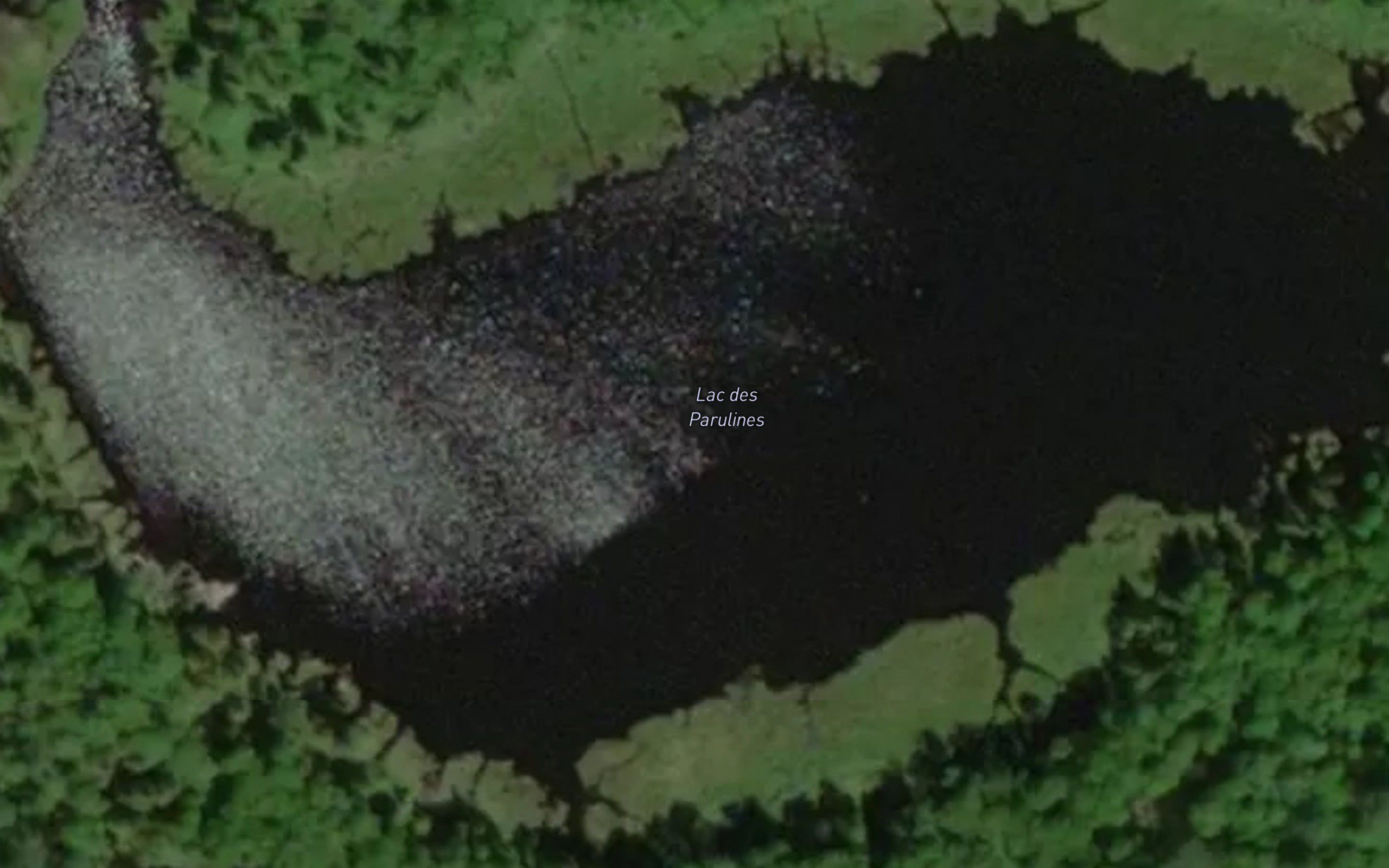Lac des Parulines