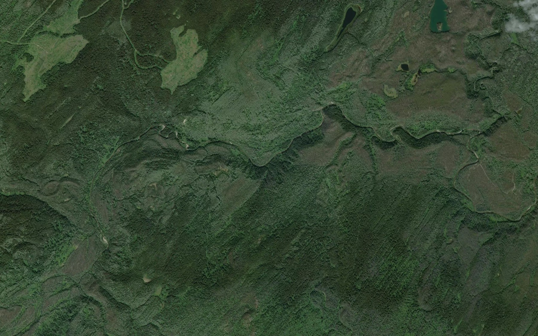 Satellite map of the Pyrite Creek