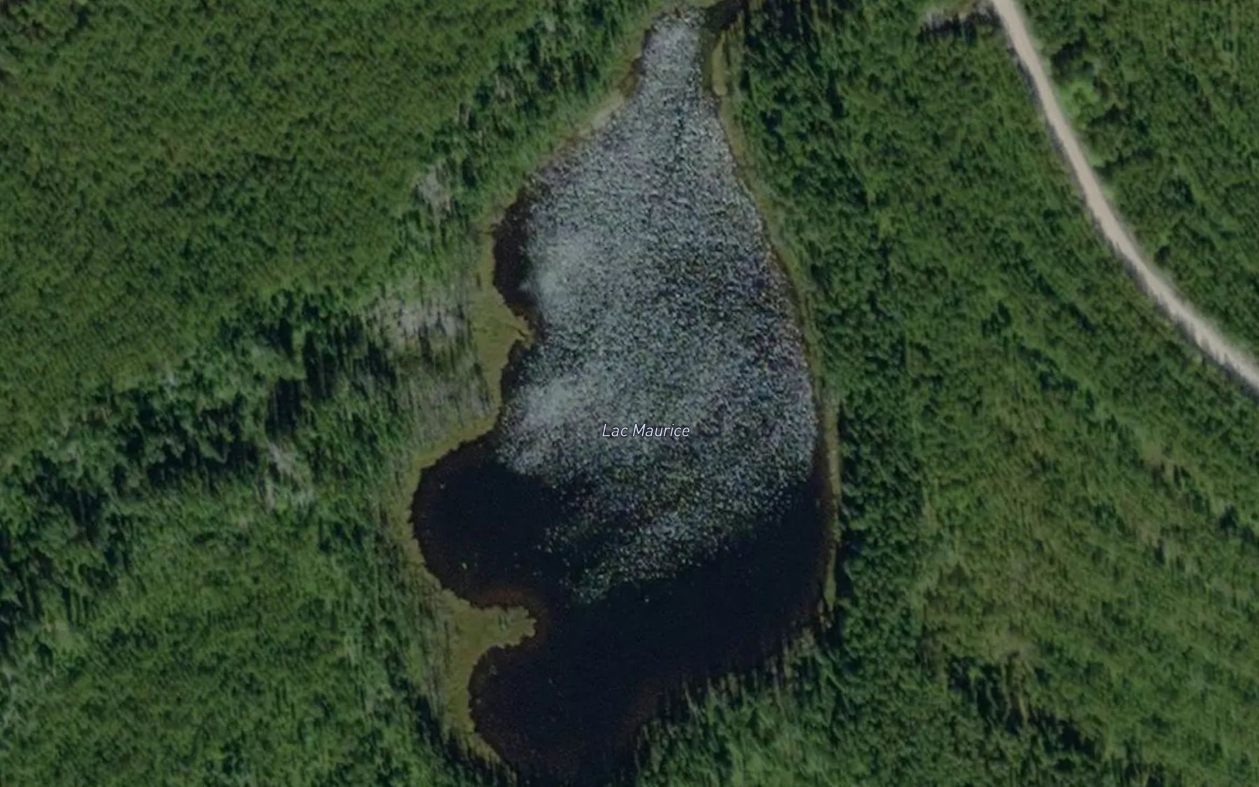Satellite map of the Lac Maurice