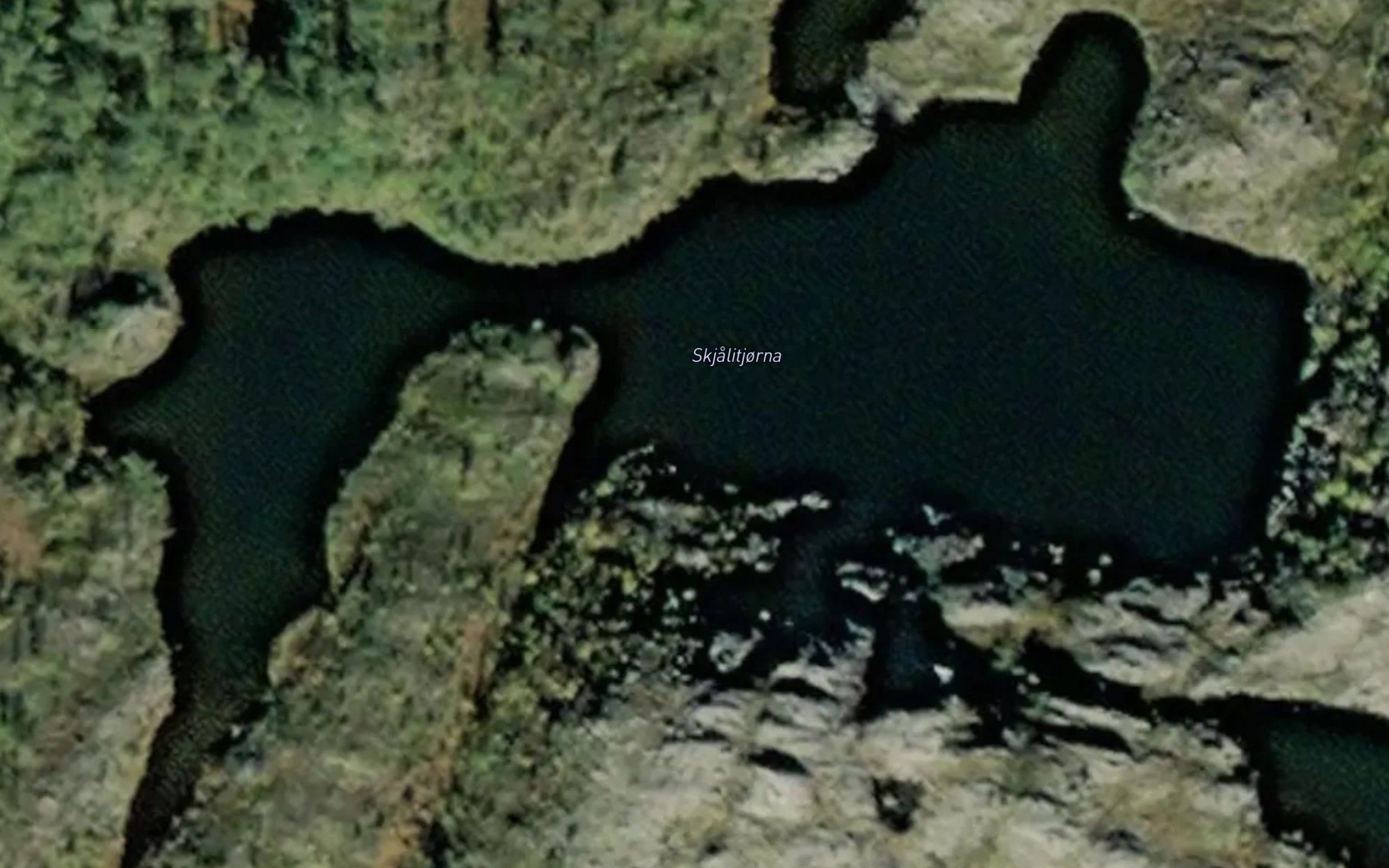 Skjalitjorna