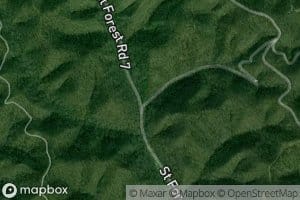 Brushy Fork