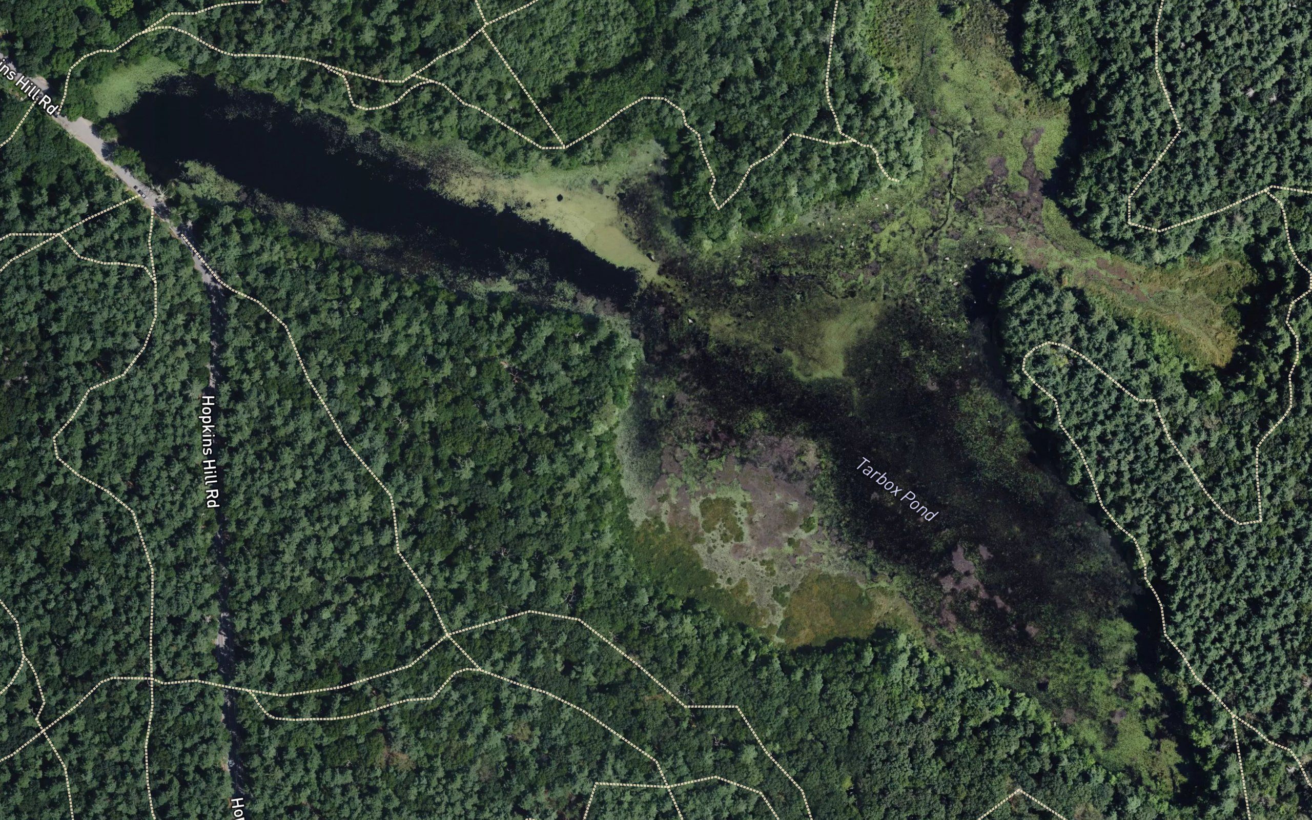 Tarbox Pond