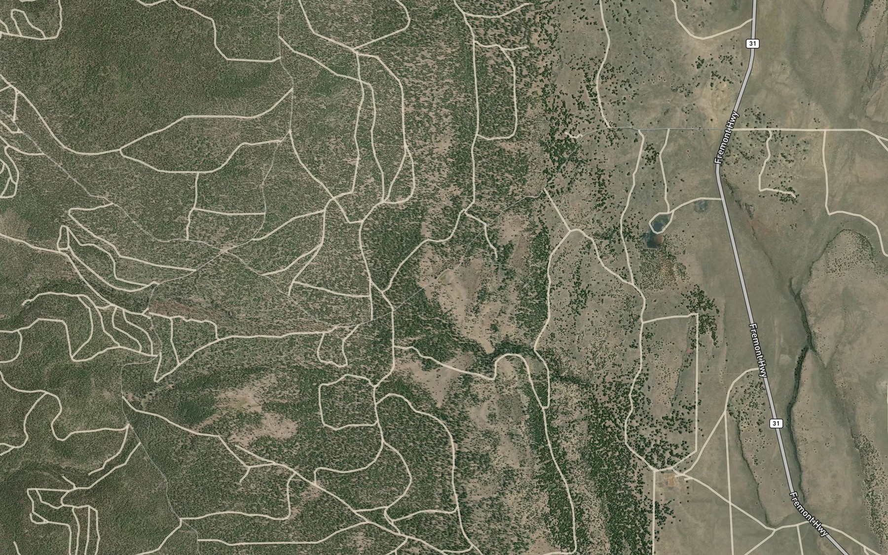 Satellite map of the Wastina Pond