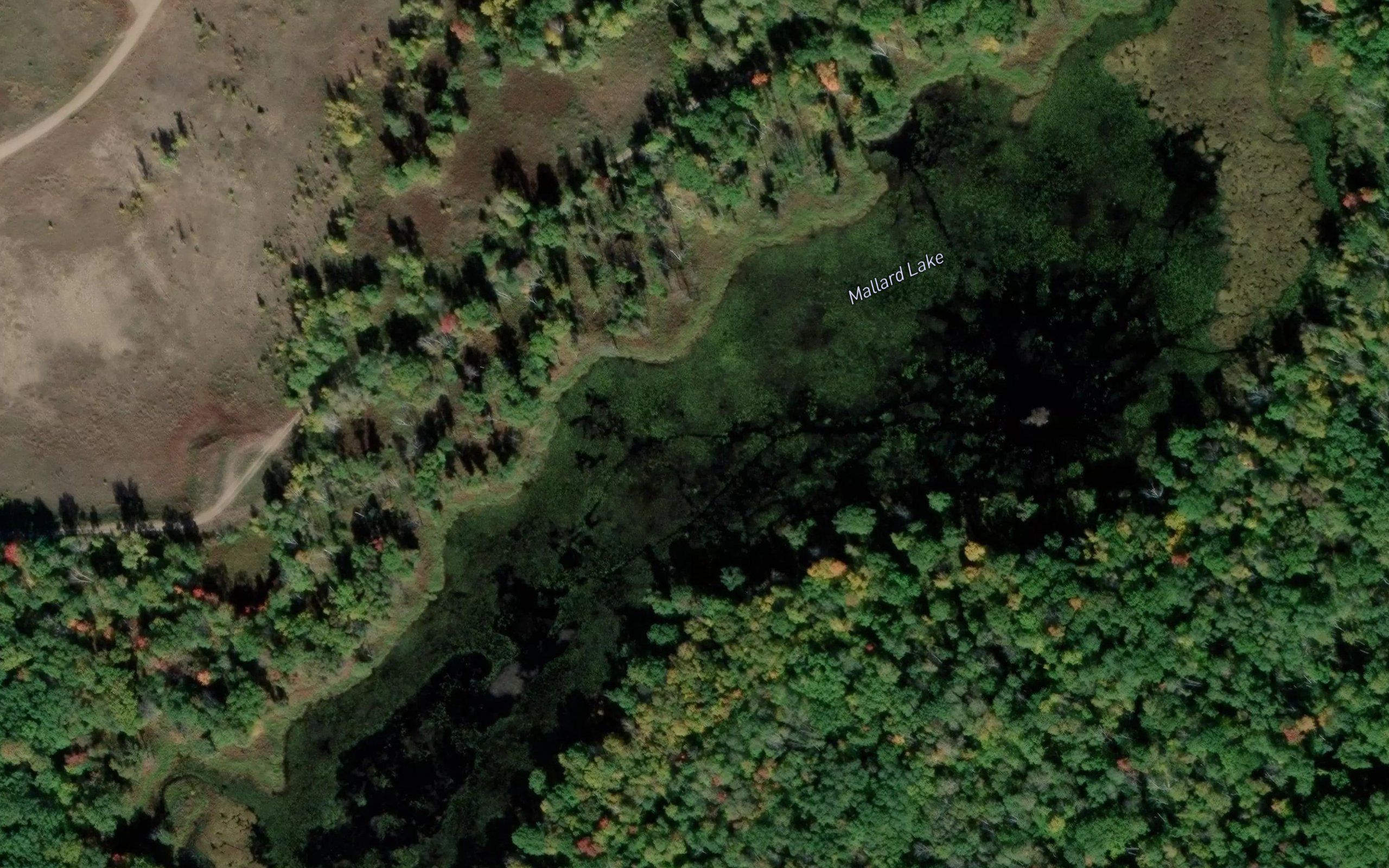 Mallard Lake