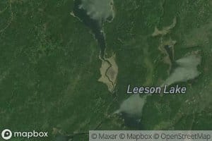 Leeson Lake
