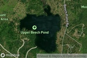Upper Beech Pond