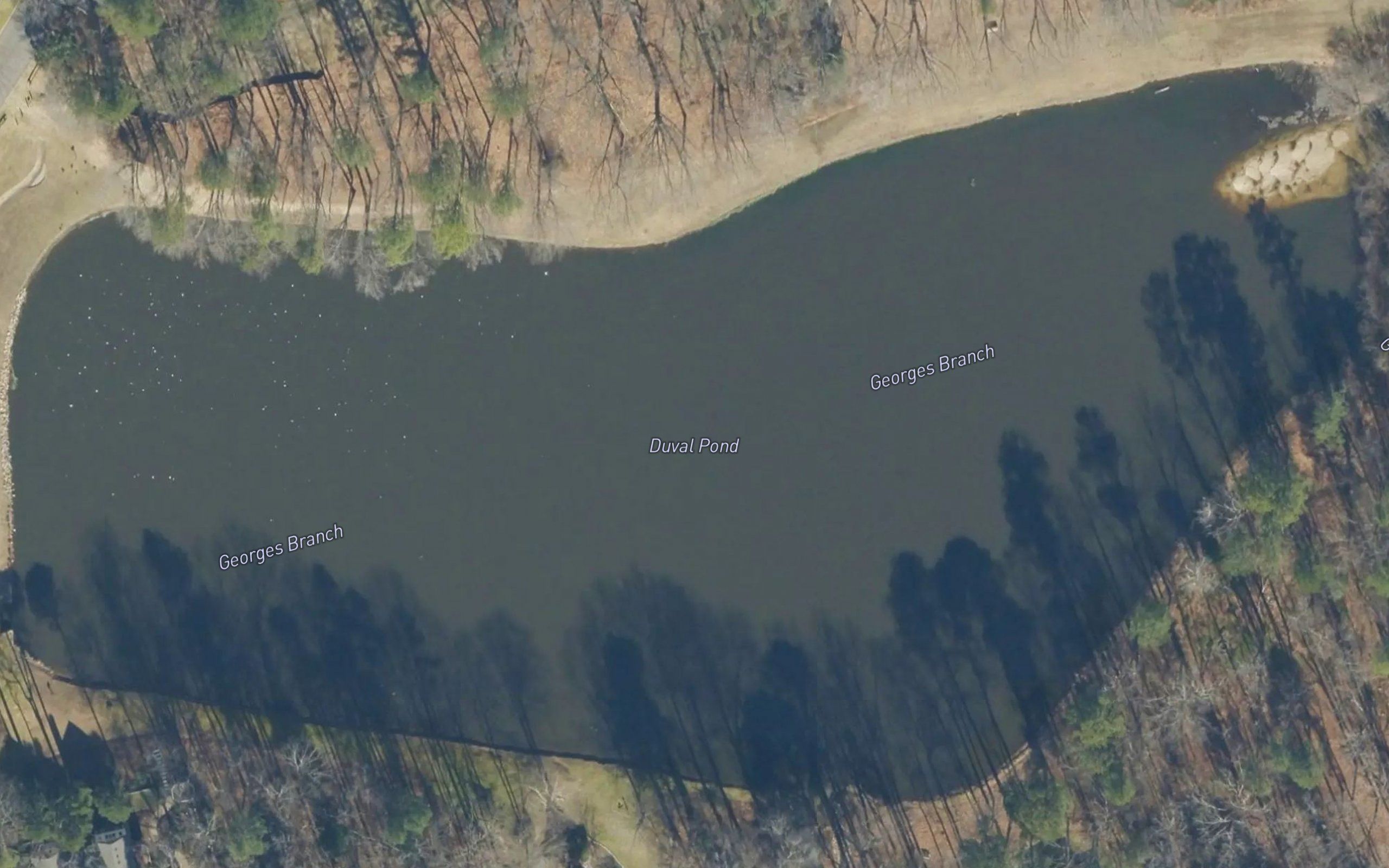 Duval Pond