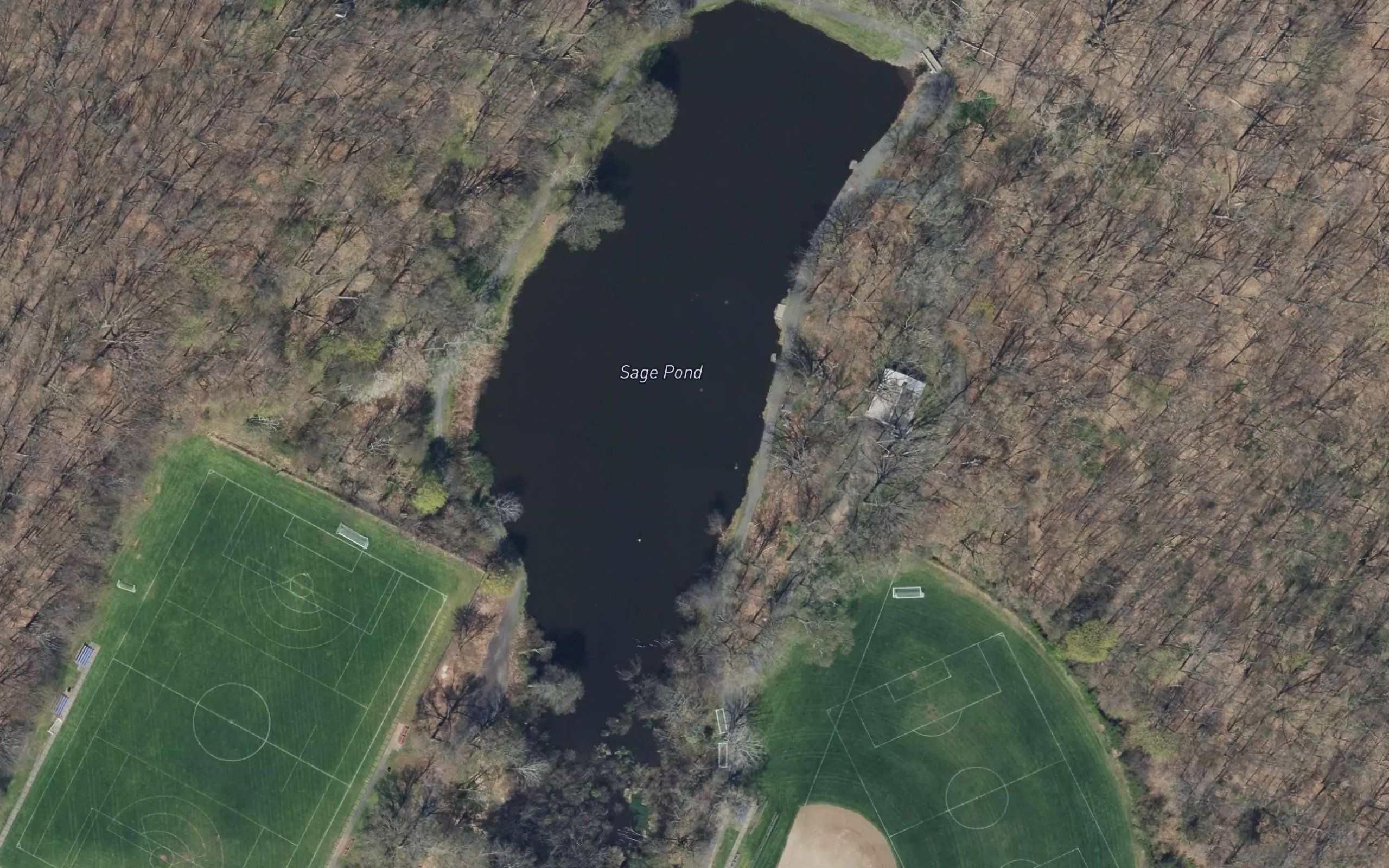 Sage Pond