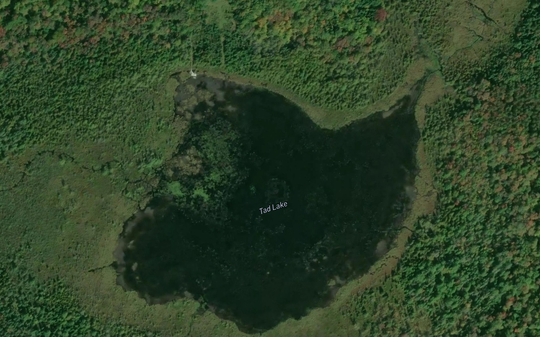 Satellite map of the Tad Lake