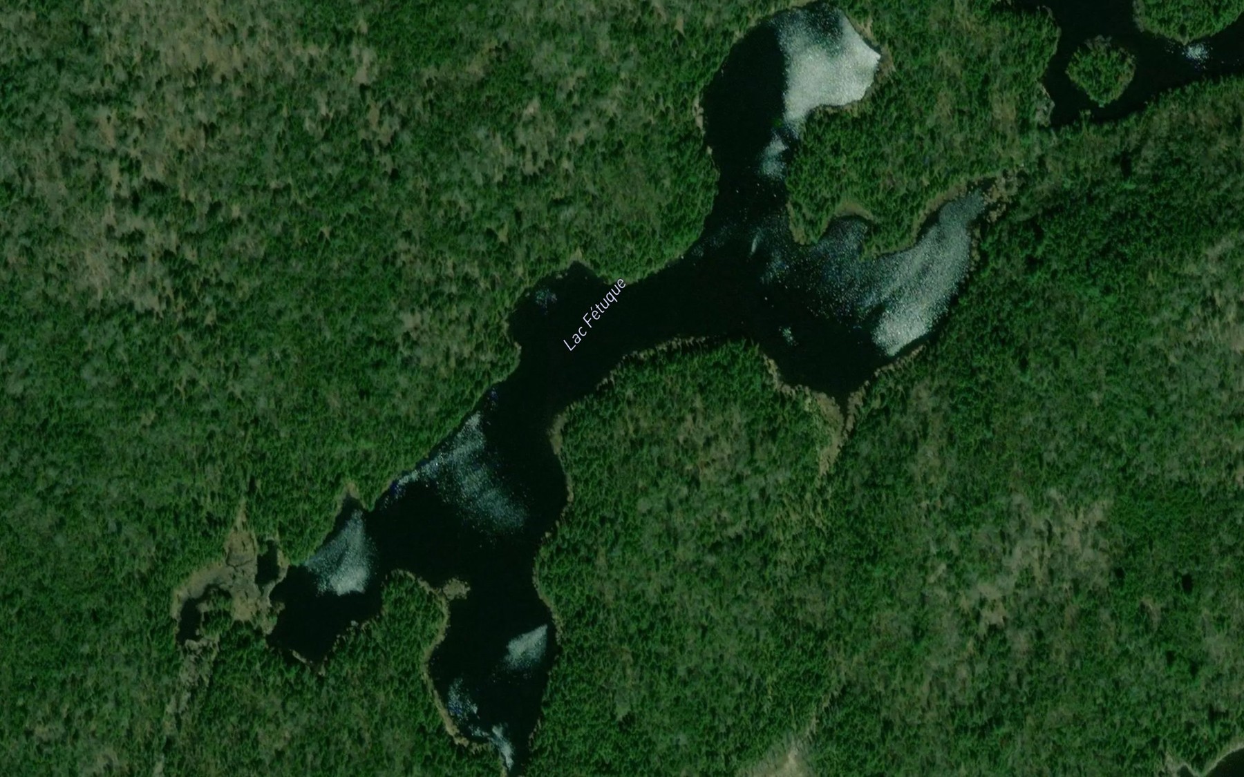 Satellite map of the Lac Fetu
