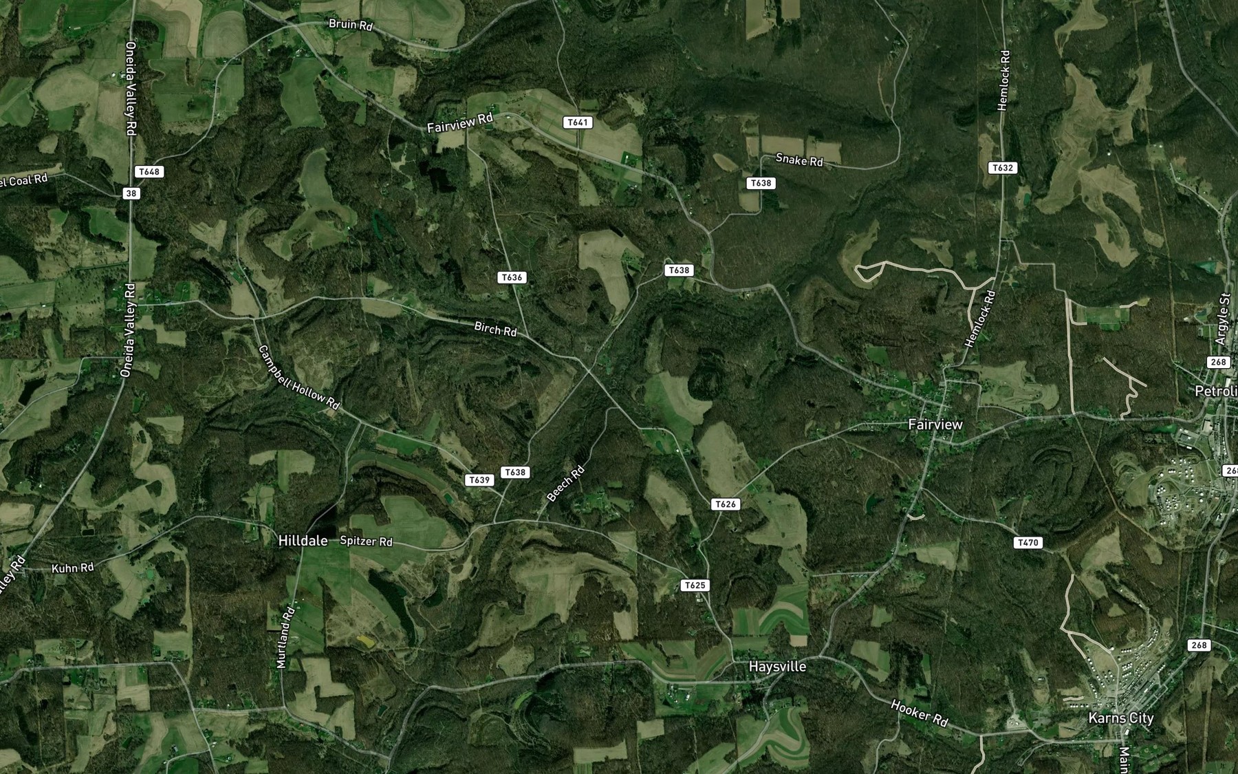 Satellite map of the Rays Run