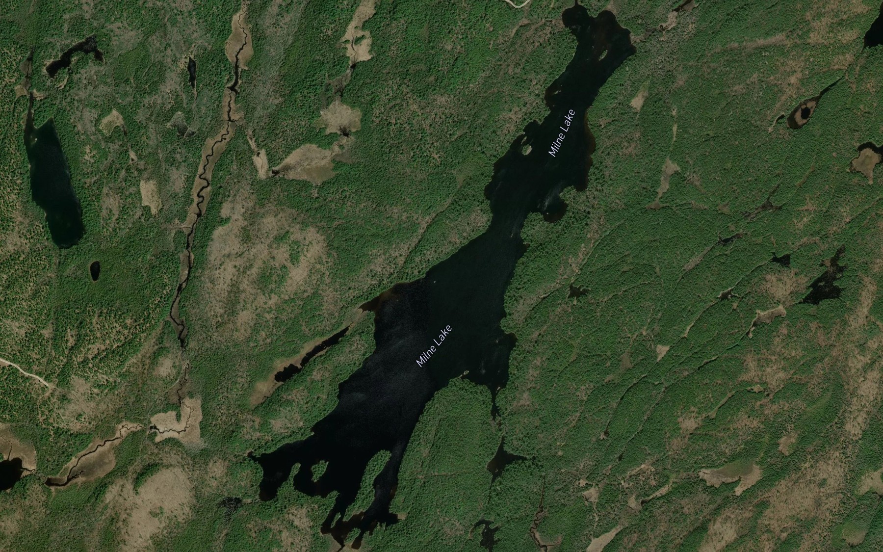 Satellite map of the Milne Lake