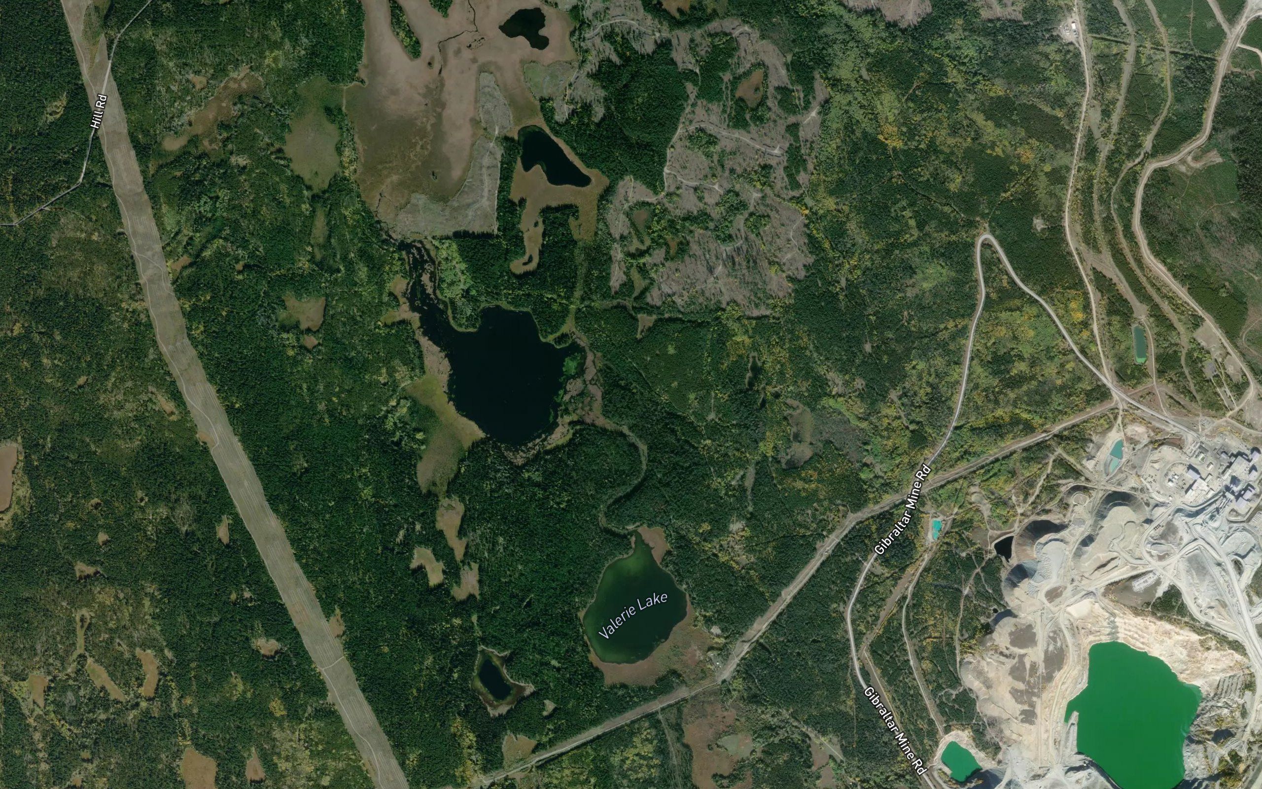 Lewis Creek