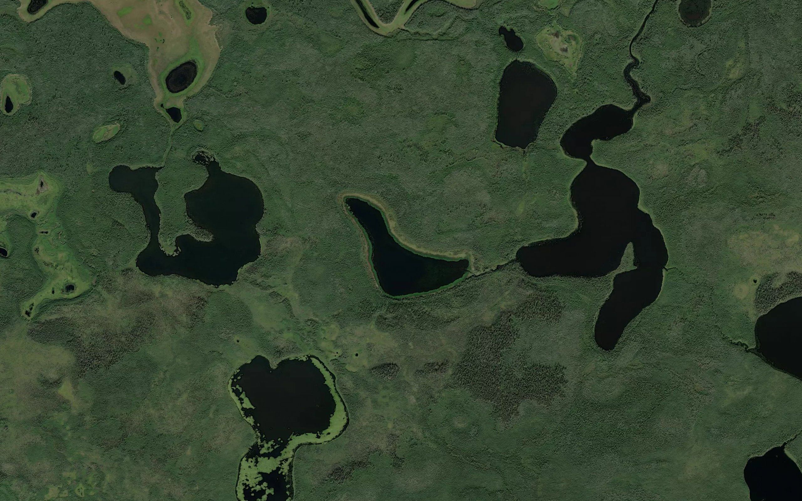 Stinking Lake