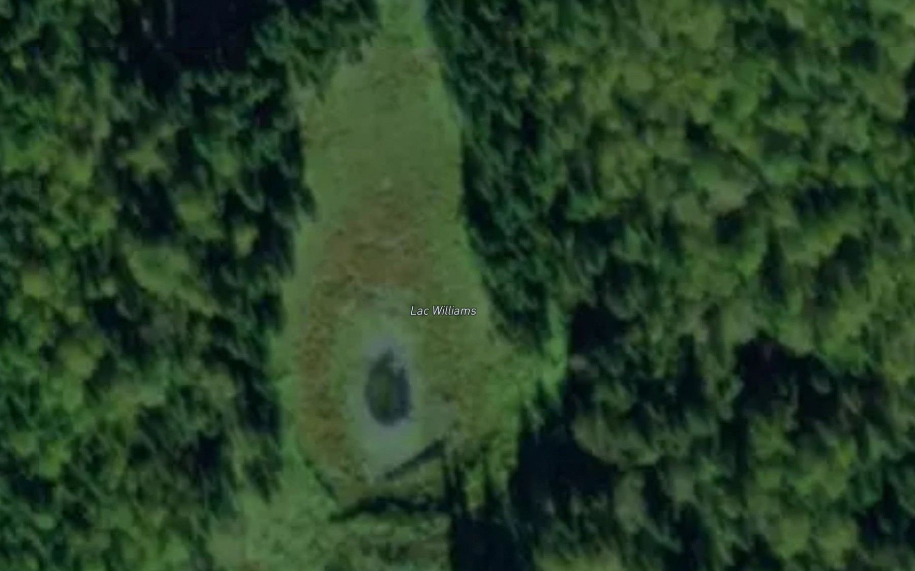 Satellite map of the Lac Williams